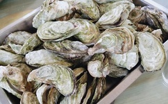 儿女传奇家有辣嫂